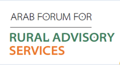 Screenshot 2024-01-25 at 4.11.38 PM