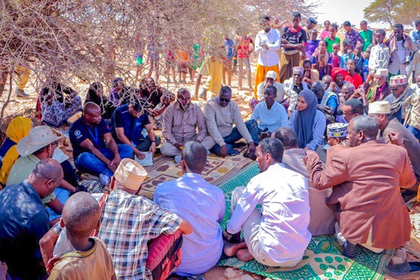 FAO is working with the local community in Puntland to devise drought alleviation measuresv.